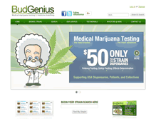 Tablet Screenshot of budgenius.com